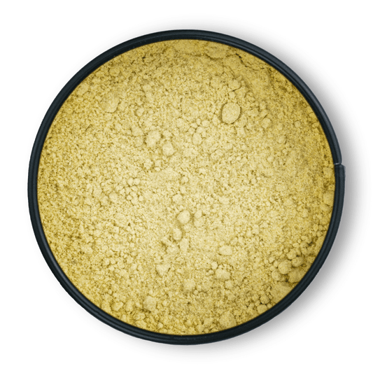 Runde schwarze Dosis Bio-Asafoetida mit fein gemahlenem, gelbem Gewürz namens Teufelsdreck.