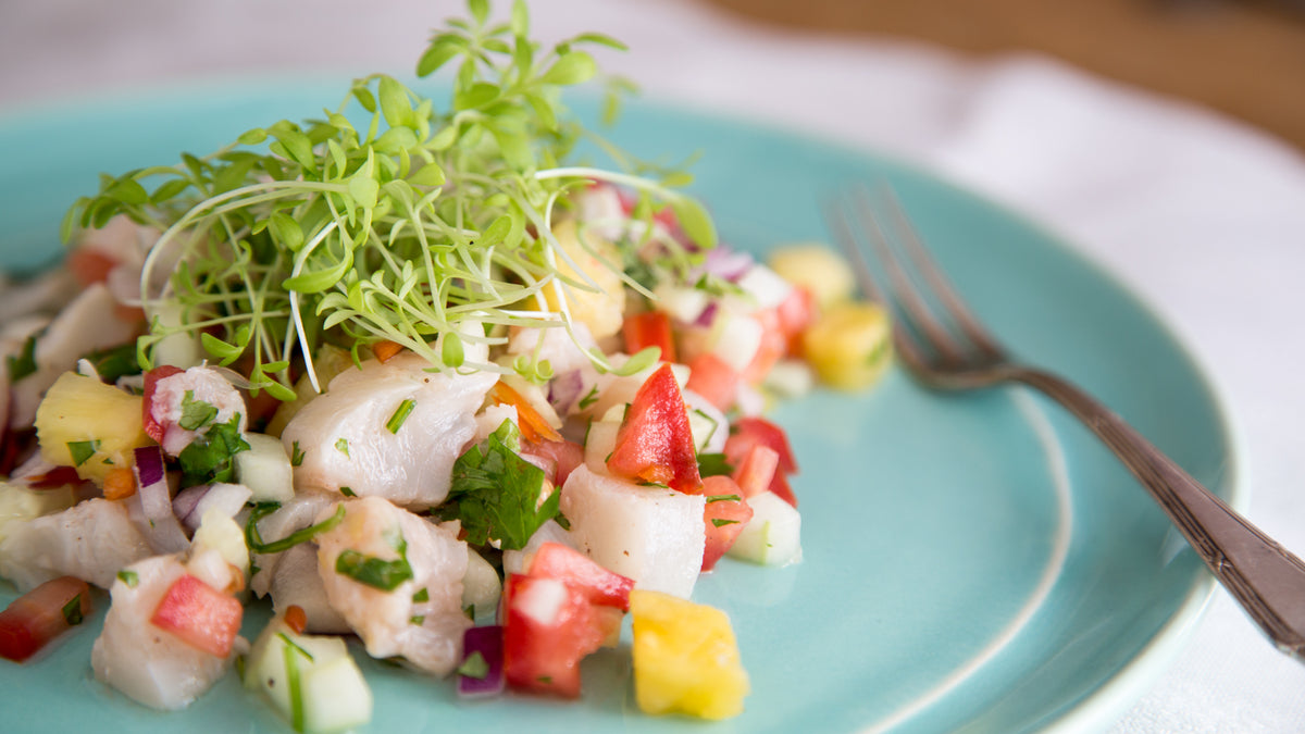 Ceviche-Salat mit gemahlenem grünen Jalapeño-Chili und Microgreens auf blauem Teller mit Gabel.