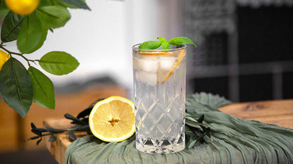 Eine Glas Zitronenlimonade mit Eis, Basilikum und Zitronenscheibe auf grünem Tuch, daneben BIO Gin.