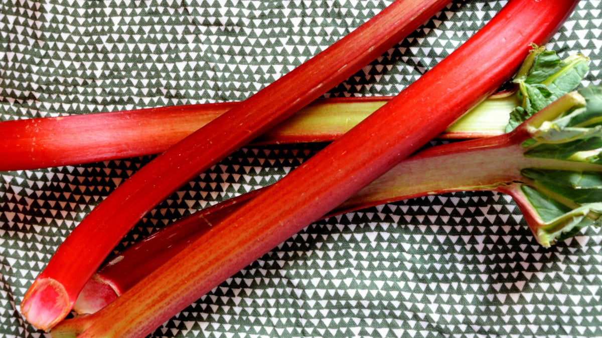 Drei rote Rhabarberstangen mit grünen Blättern liegen auf einem gemusterten schwarz-weißen Hintergrund.