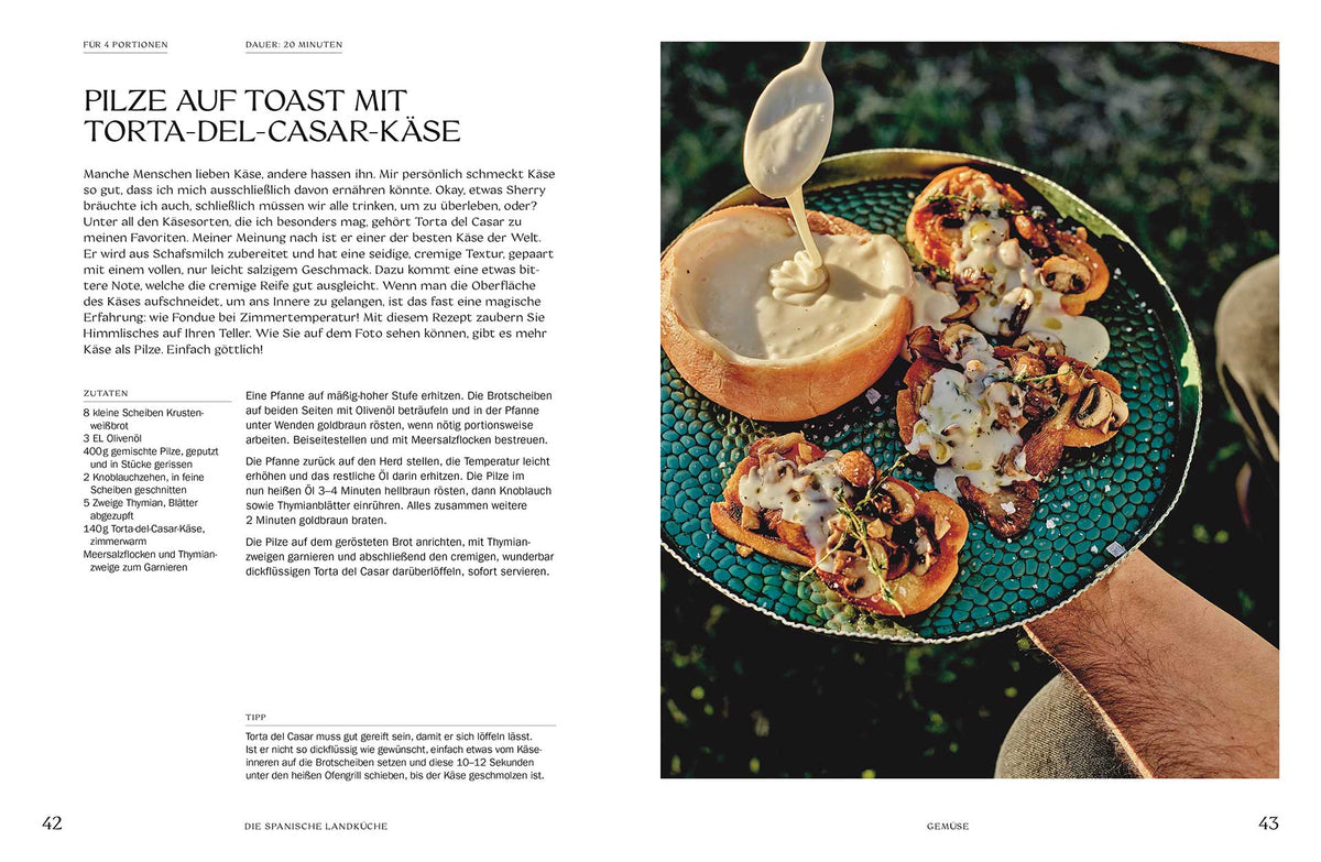 Drei Toasts mit Pilzen und Käse liegen auf einem grünen Teller.