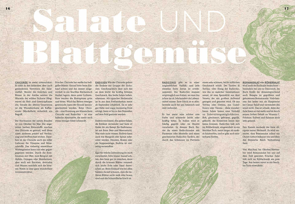 Doppelseite mit Fotos von Salaten und Blattgemüse aus dem Buch Paul Ivić Vegetarisch.